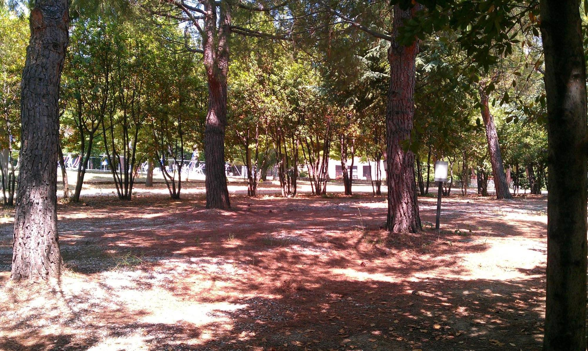 Country House Una Cupra Marittima Εξωτερικό φωτογραφία